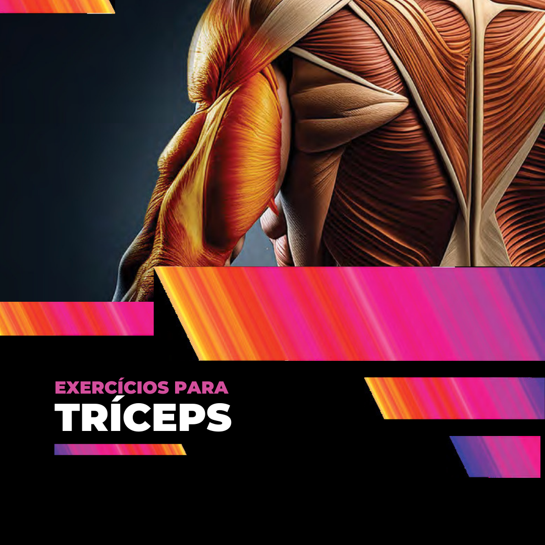 Livro Digital – Musculação Consciente