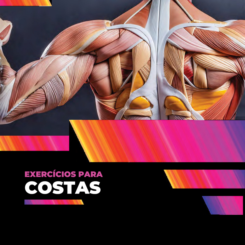 Livro Digital – Musculação Consciente