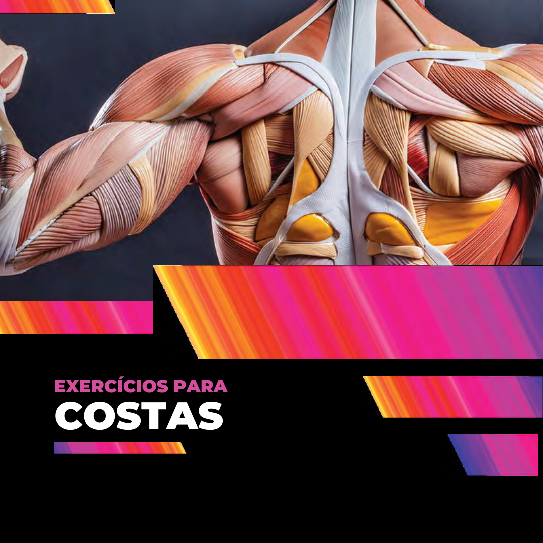 Livro Digital – Musculação Consciente