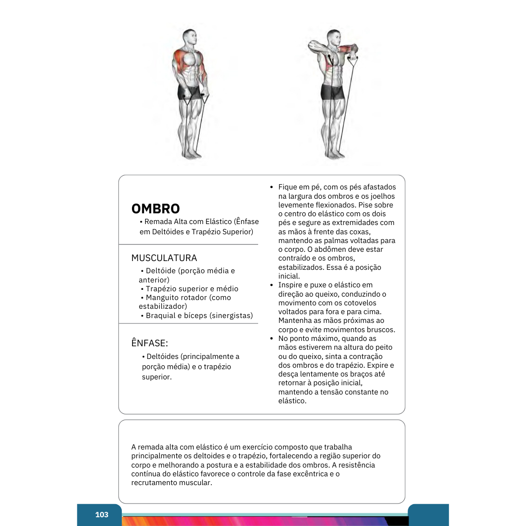 Livro Digital – Musculação Consciente