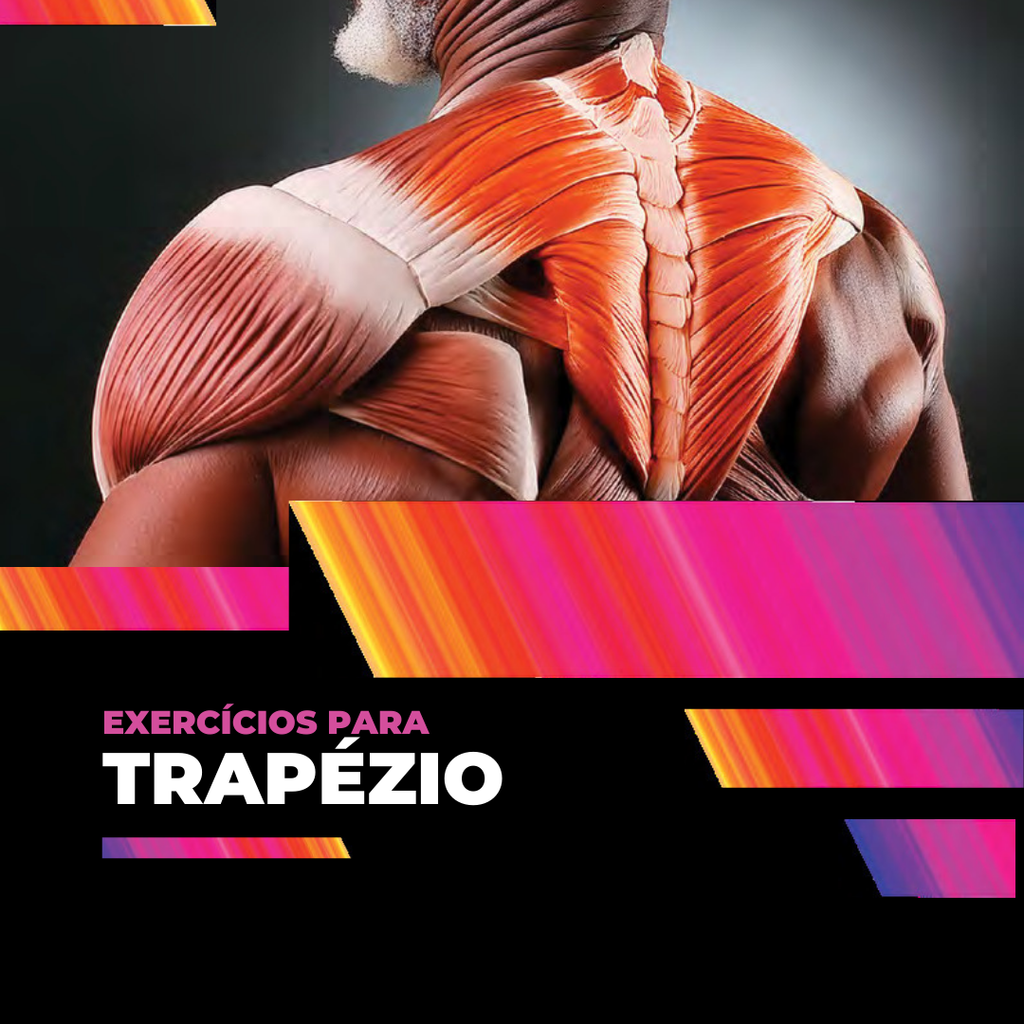 Livro Digital – Musculação Consciente